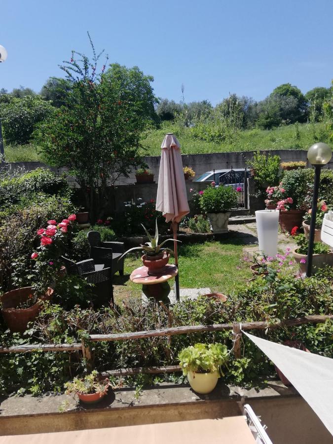 Appartamento Orchidea Montemerano Zewnętrze zdjęcie