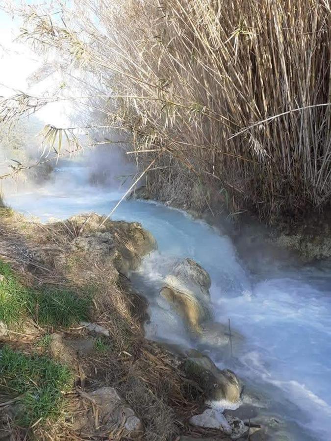 Appartamento Orchidea Montemerano Zewnętrze zdjęcie
