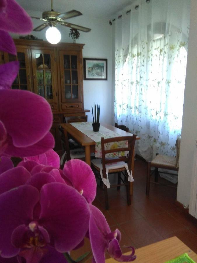 Appartamento Orchidea Montemerano Zewnętrze zdjęcie
