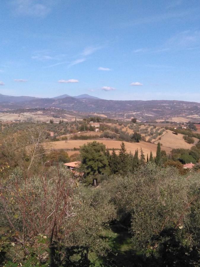 Appartamento Orchidea Montemerano Zewnętrze zdjęcie