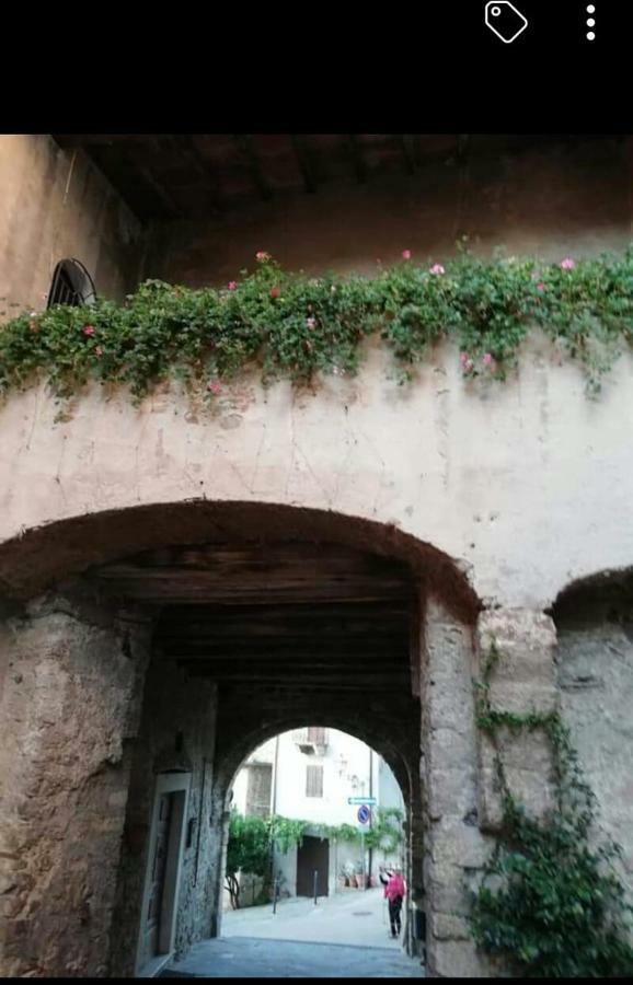 Appartamento Orchidea Montemerano Zewnętrze zdjęcie