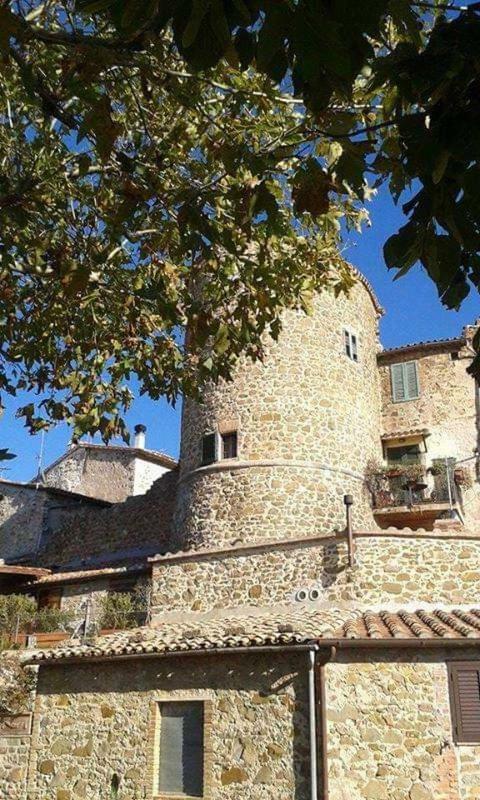 Appartamento Orchidea Montemerano Zewnętrze zdjęcie