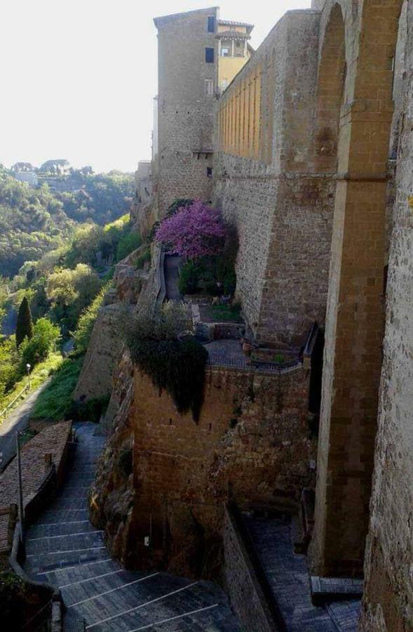 Appartamento Orchidea Montemerano Zewnętrze zdjęcie